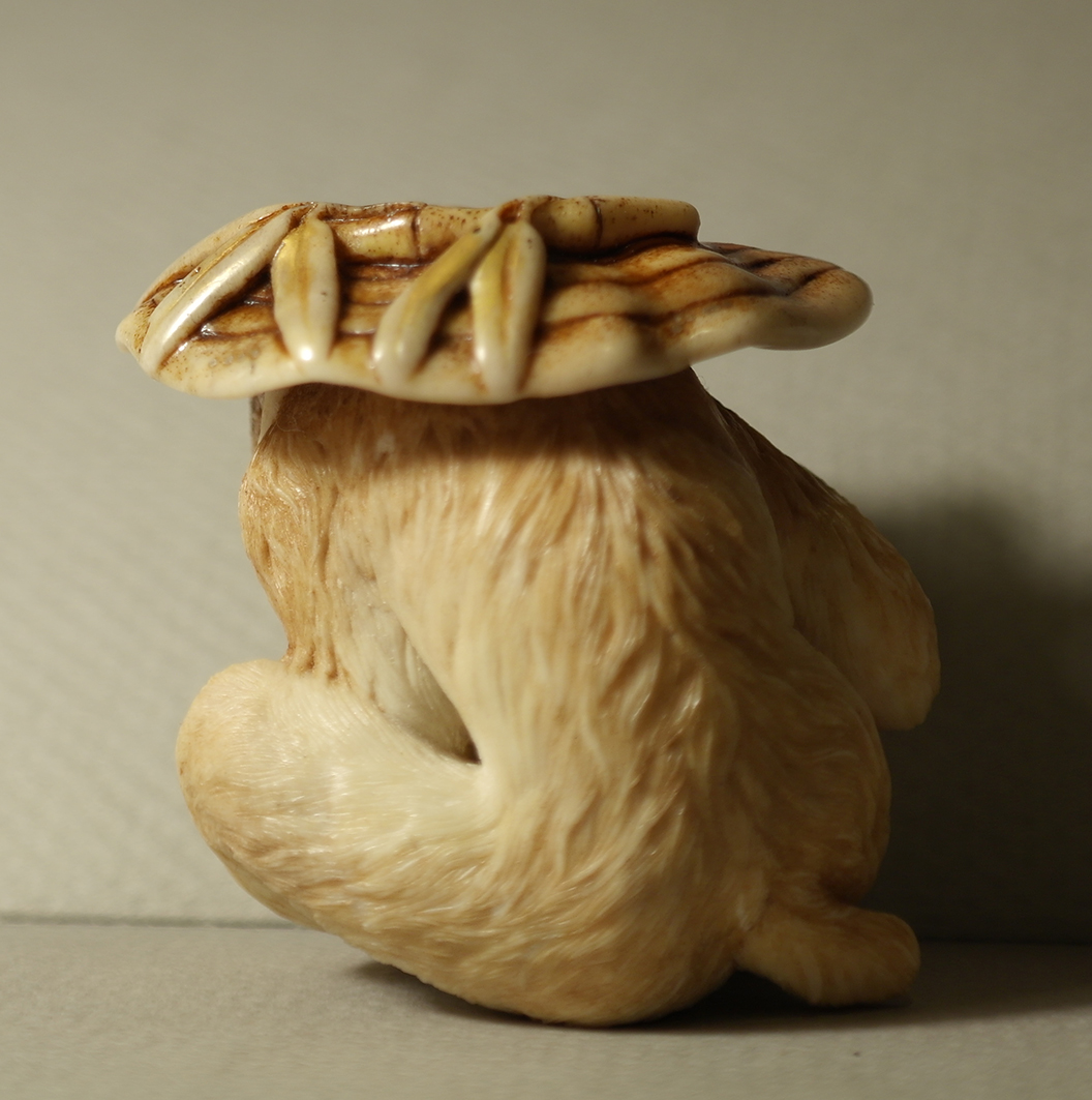 Monkey and reishi005b